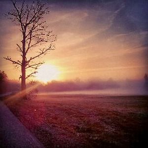 Meet your Posher, Shawna